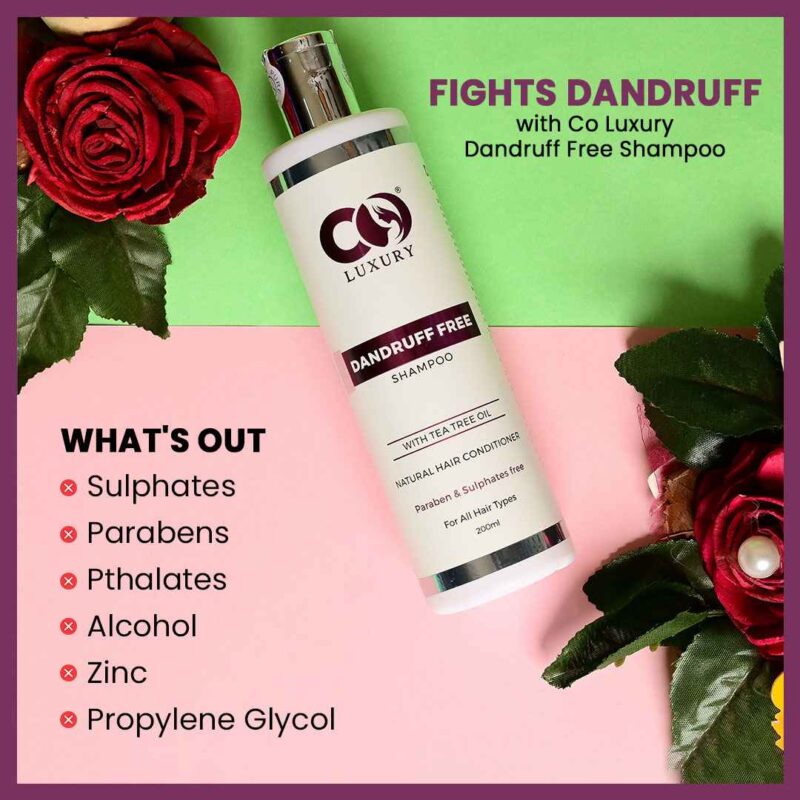 Co-Luxury Dandruff-Free Shampoo With Tea Tree And Ginger Oil ( For All Hair Types) - Image 2